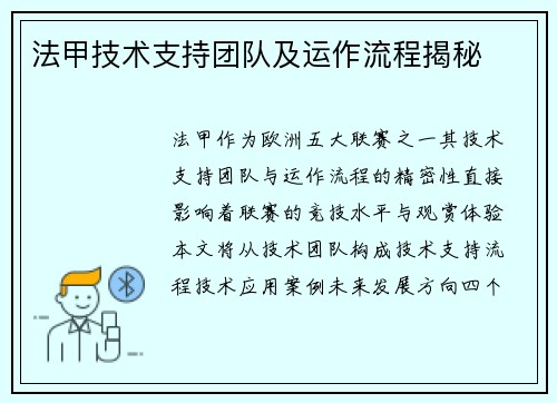 法甲技术支持团队及运作流程揭秘